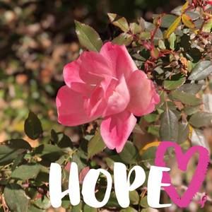 Meet your Posher, Deepa